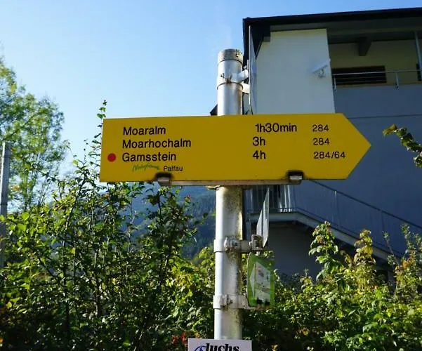 Xeisblick بالفو