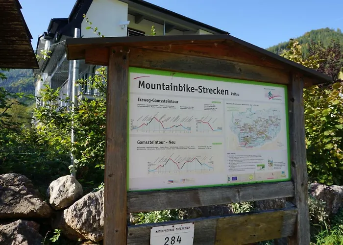 Xeisblick بالفو